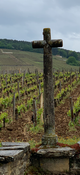 Bourgogne: Kort og godt