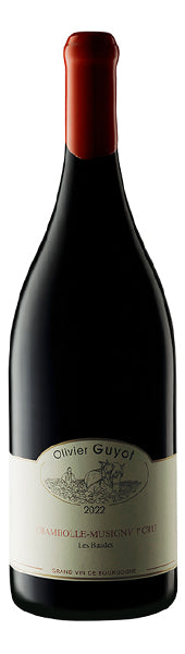 Chambolle Musigny 1er Cru "Les Baudes" 2022  JÉROME- Olivier Guyot